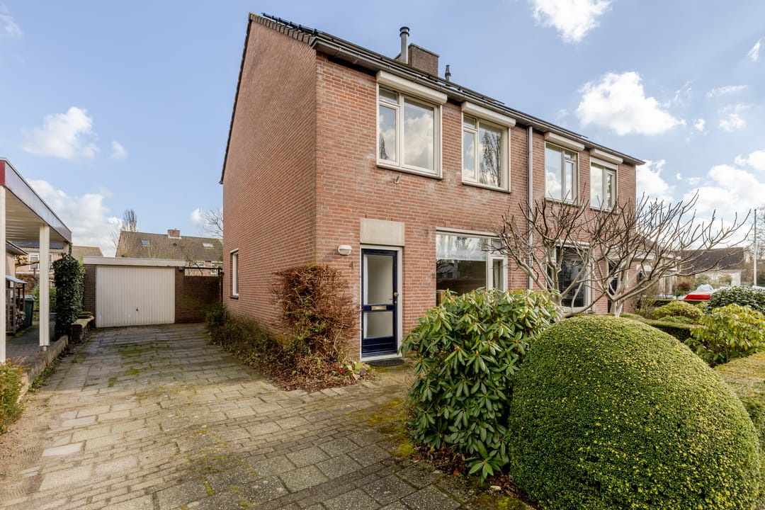 Foto 8 van Vogelkers 4