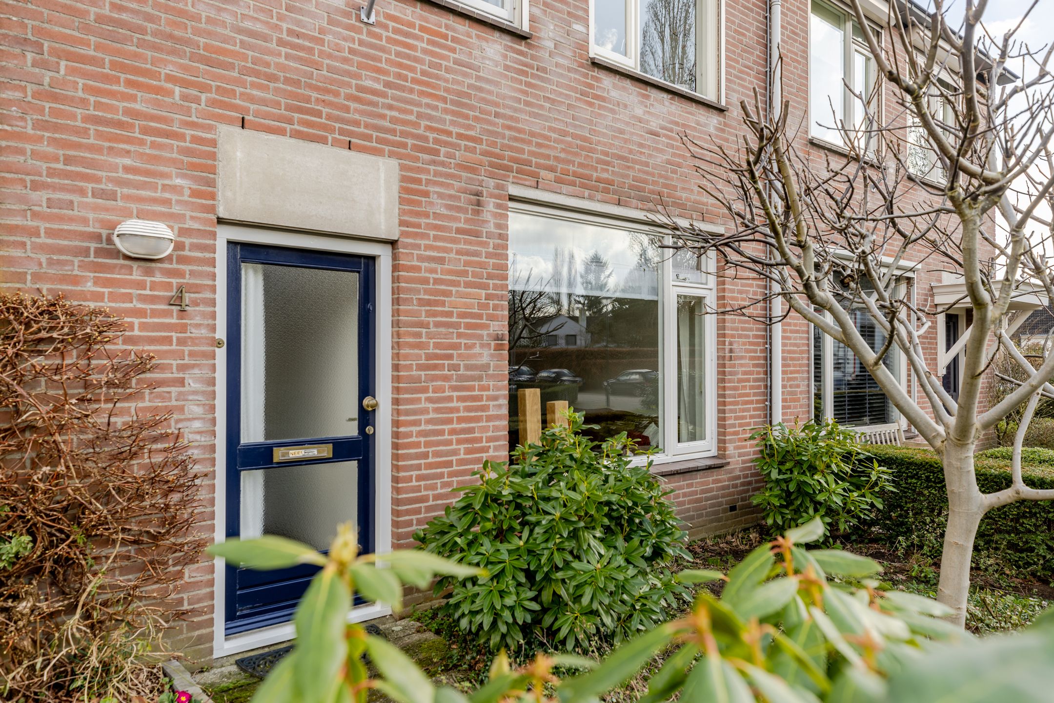 Foto 9 van Vogelkers 4