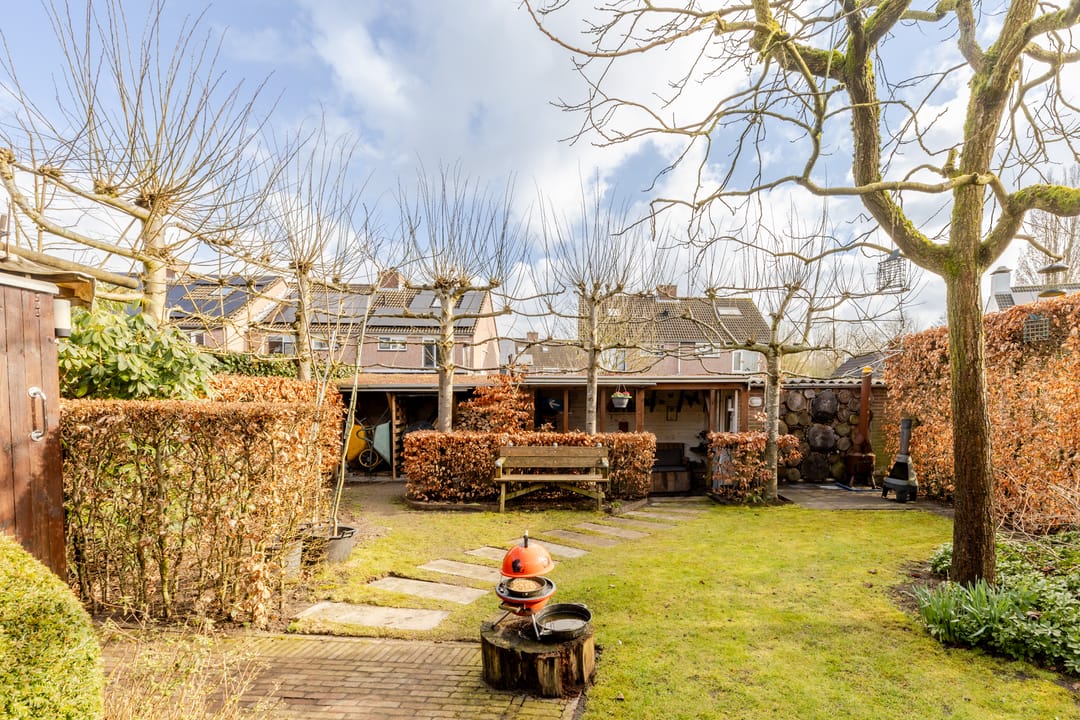 Foto 32 van Vogelkers 4