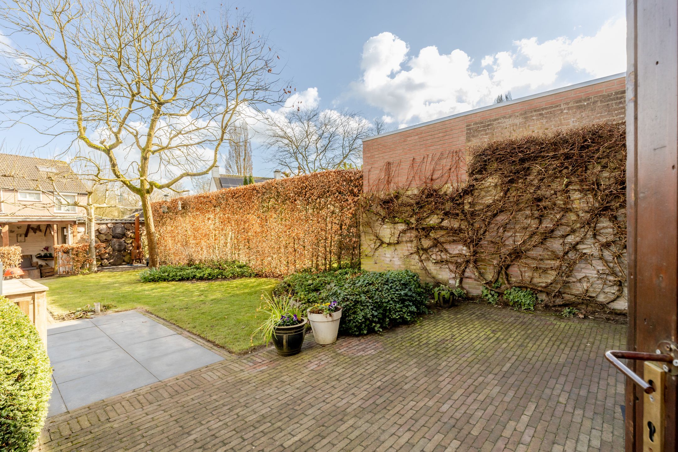 Foto 36 van Vogelkers 4