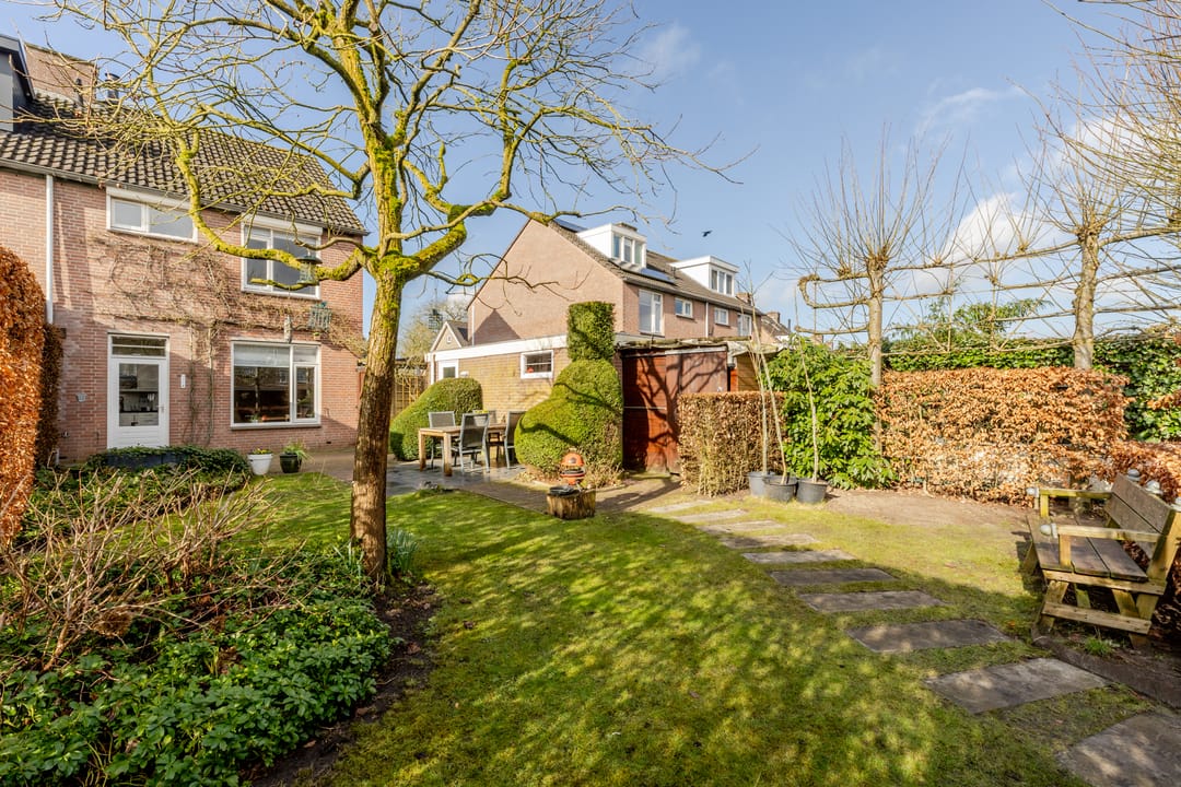 Foto 41 van Vogelkers 4