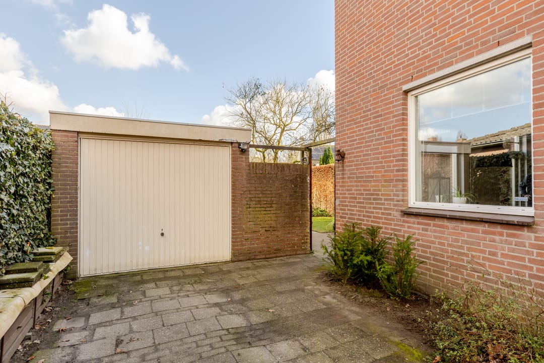 Foto 43 van Vogelkers 4