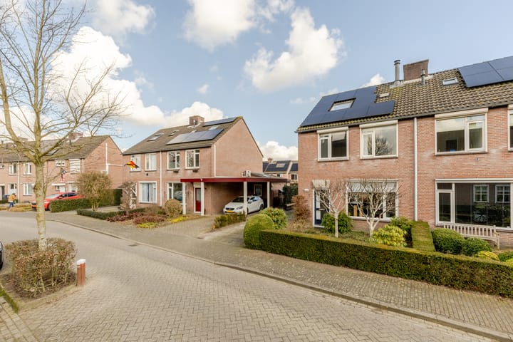 Foto 45 van Vogelkers 4