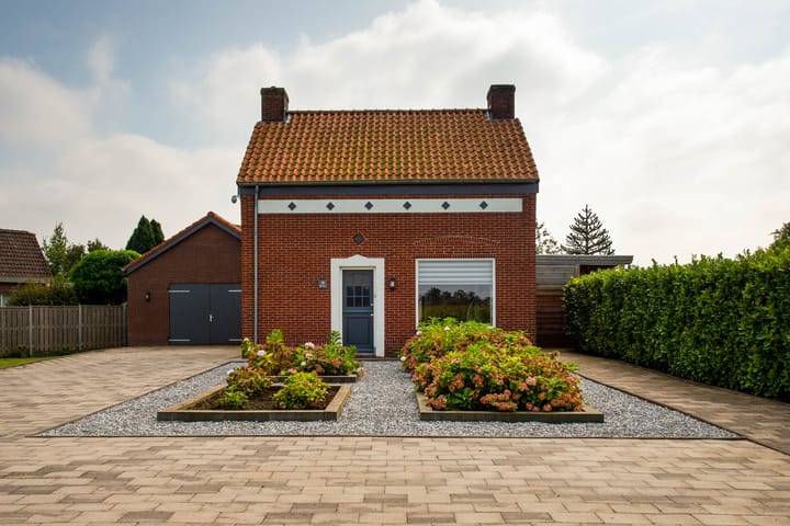 undefined main image