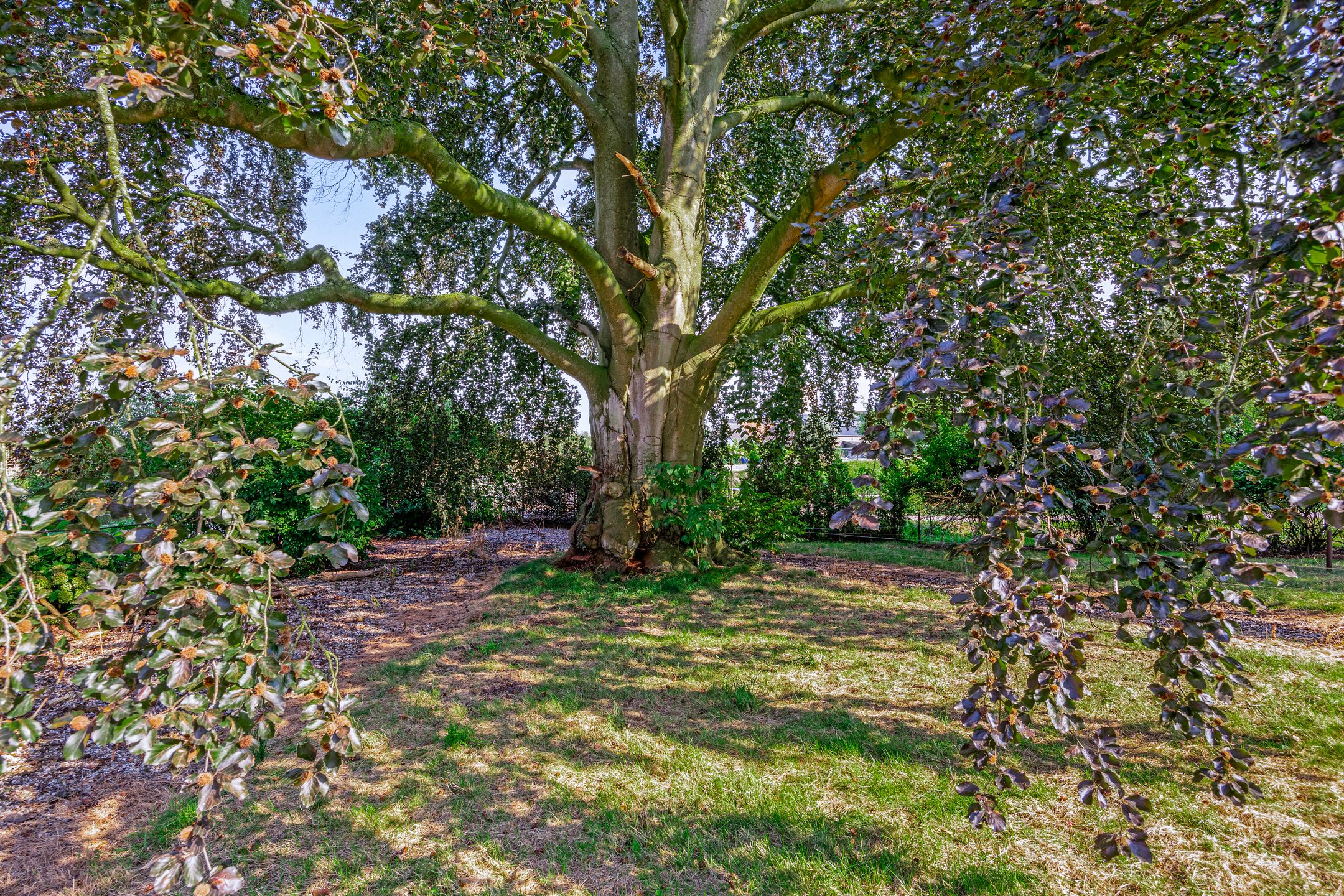 Foto 66 van Kerkstraat 1