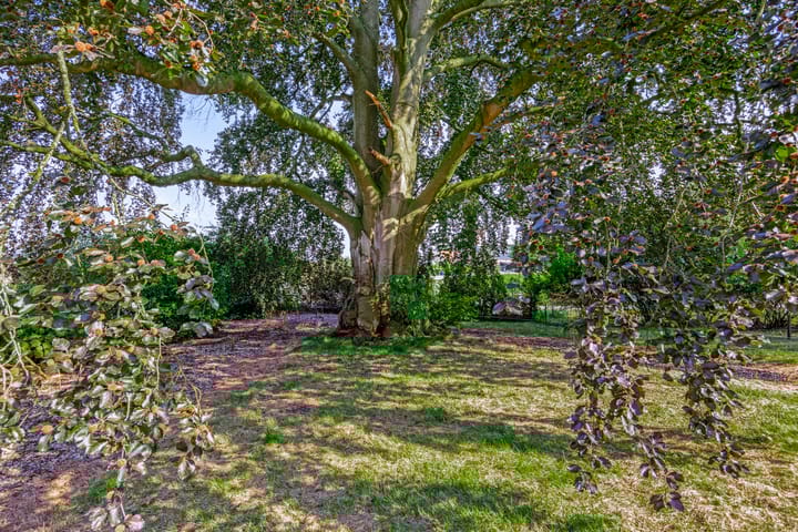 Foto 66 van Kerkstraat 1