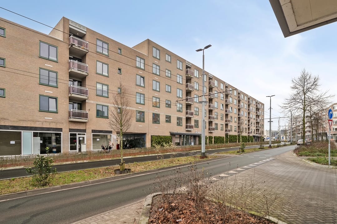 Foto 1 van Ir J.P. van Muijlwijkstraat 320