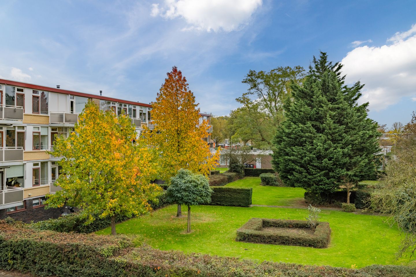 Photo 5 of Van Anrooystraat 33