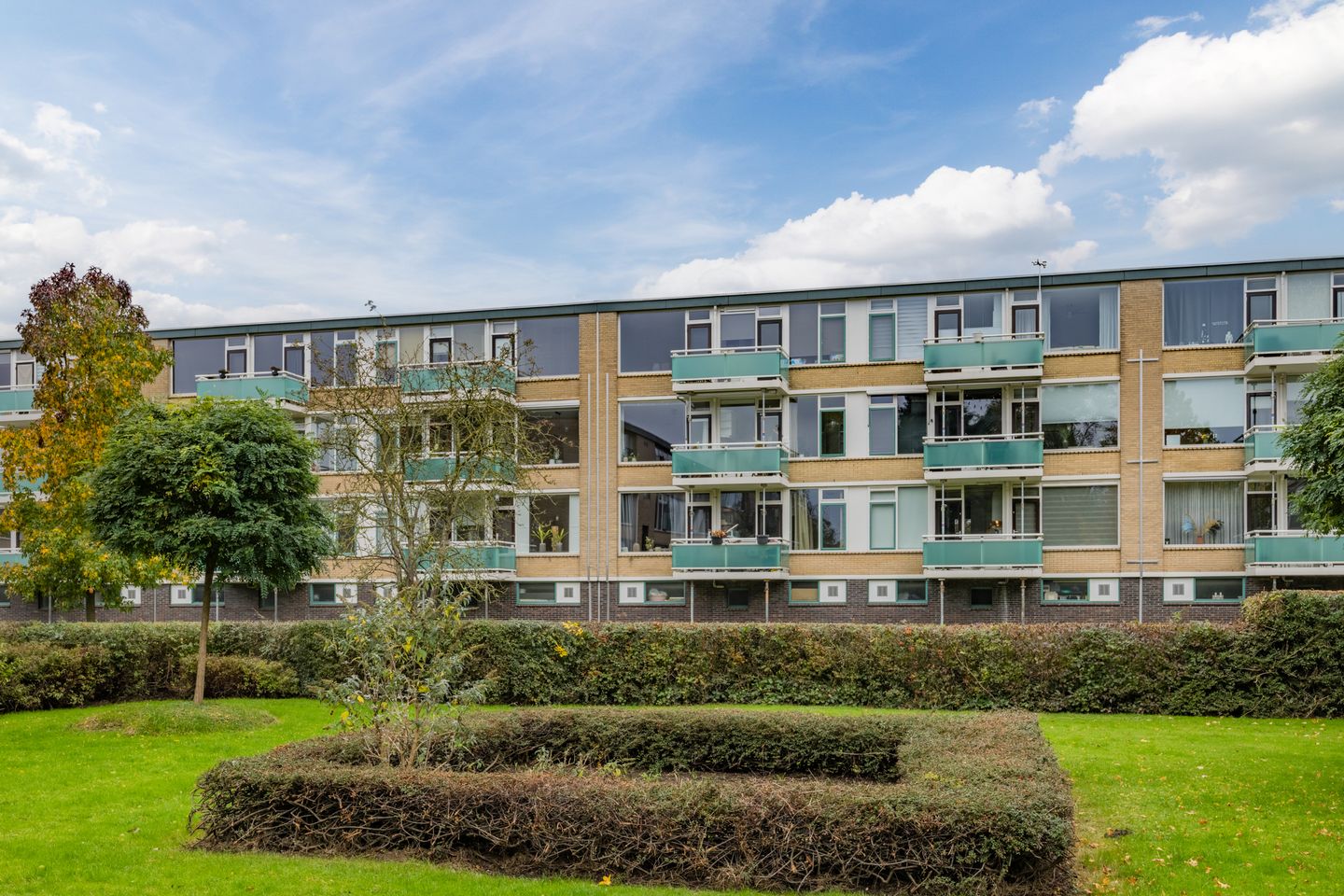 Photo 34 of Van Anrooystraat 33