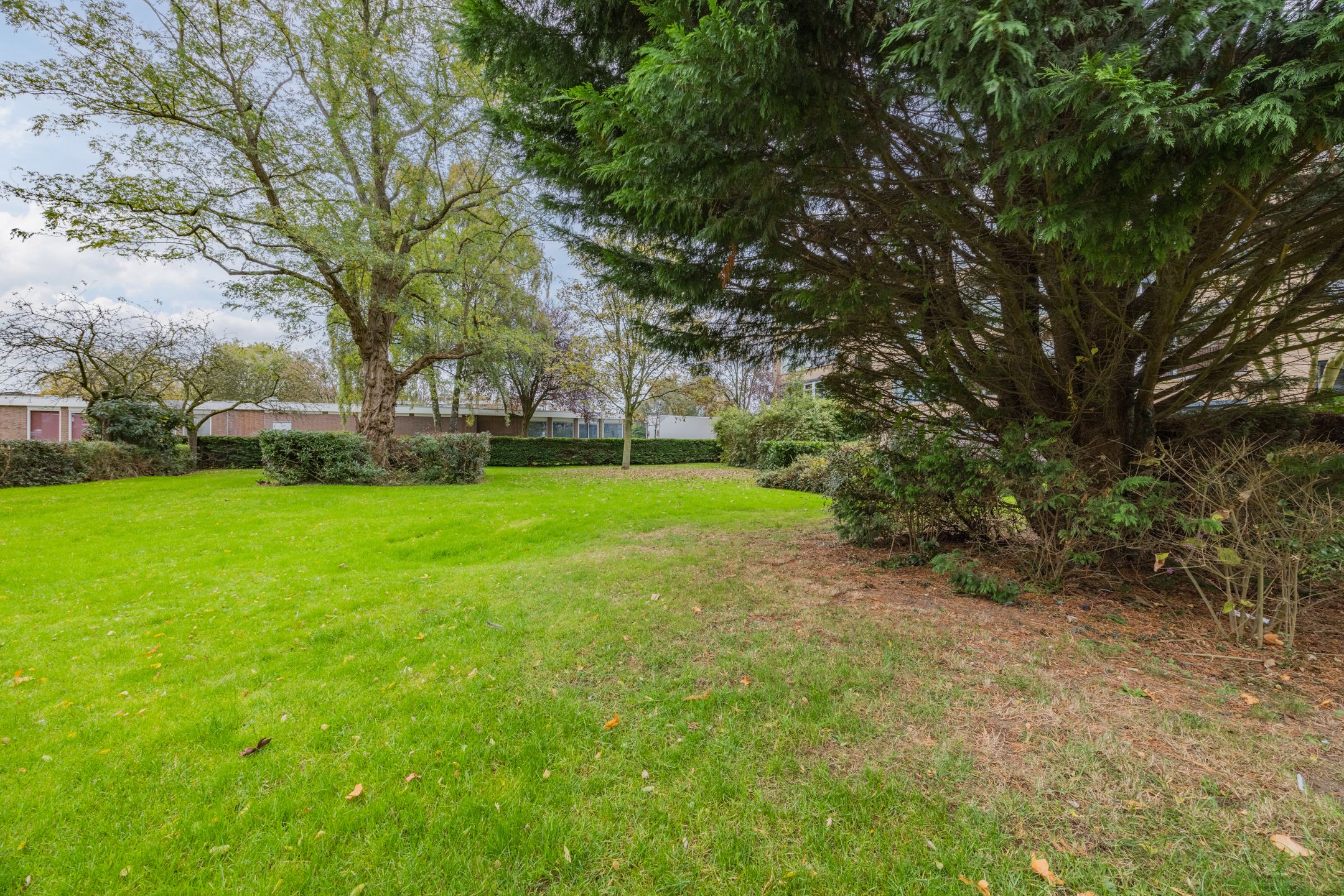 Photo 36 of Van Anrooystraat 33