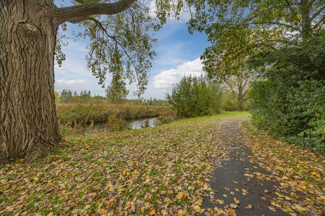 Photo 37 of Van Anrooystraat 33