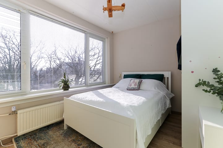 Foto 23 van Willem van Rijswijckstr 18