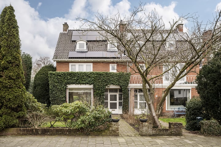 Spiegelenburghlaan 18