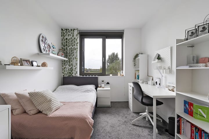 Foto 21 van Marmermolen 51