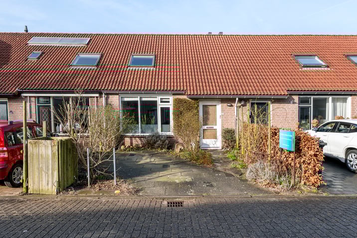 undefined main image