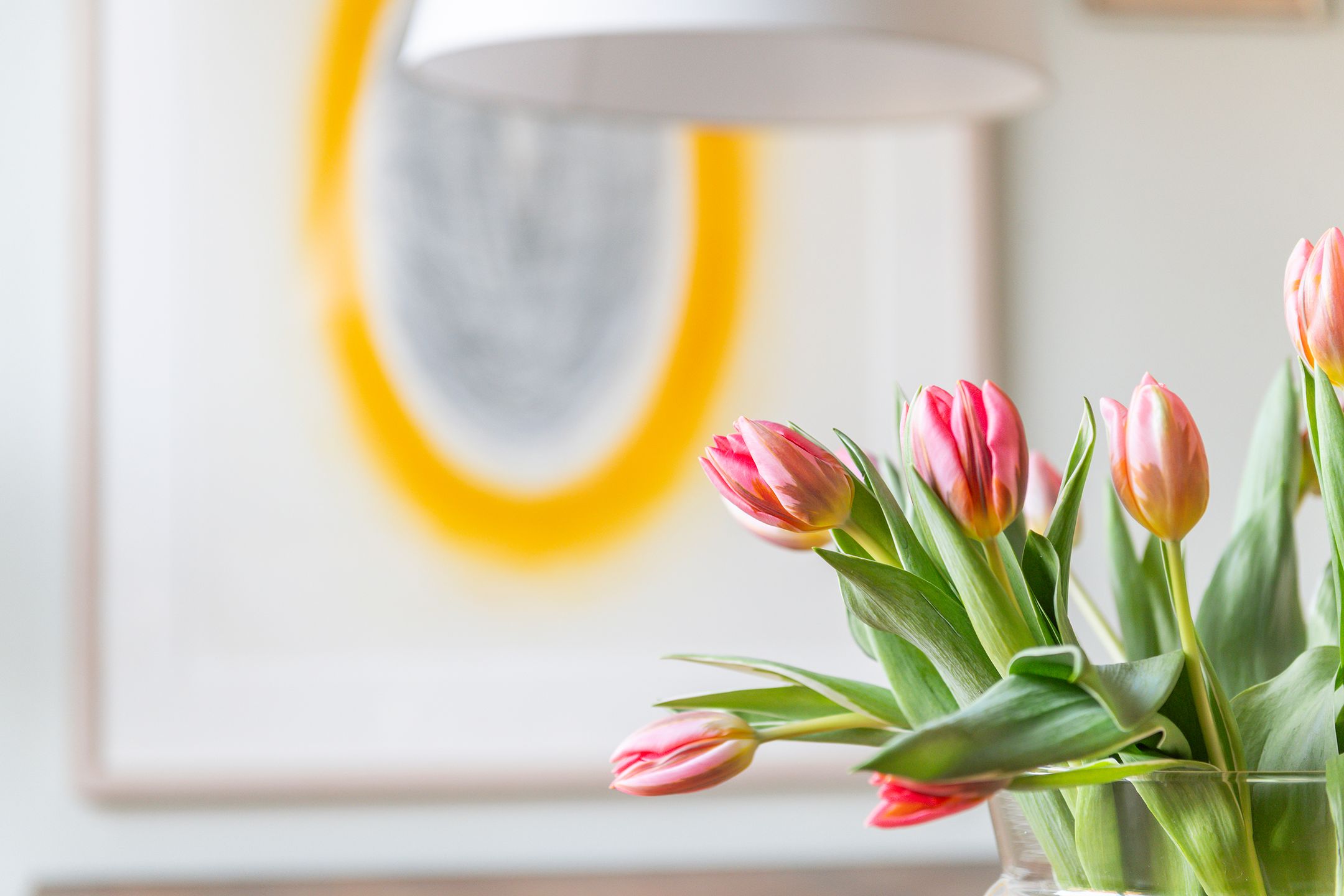 Foto 12 van Vanghoutstraat 21