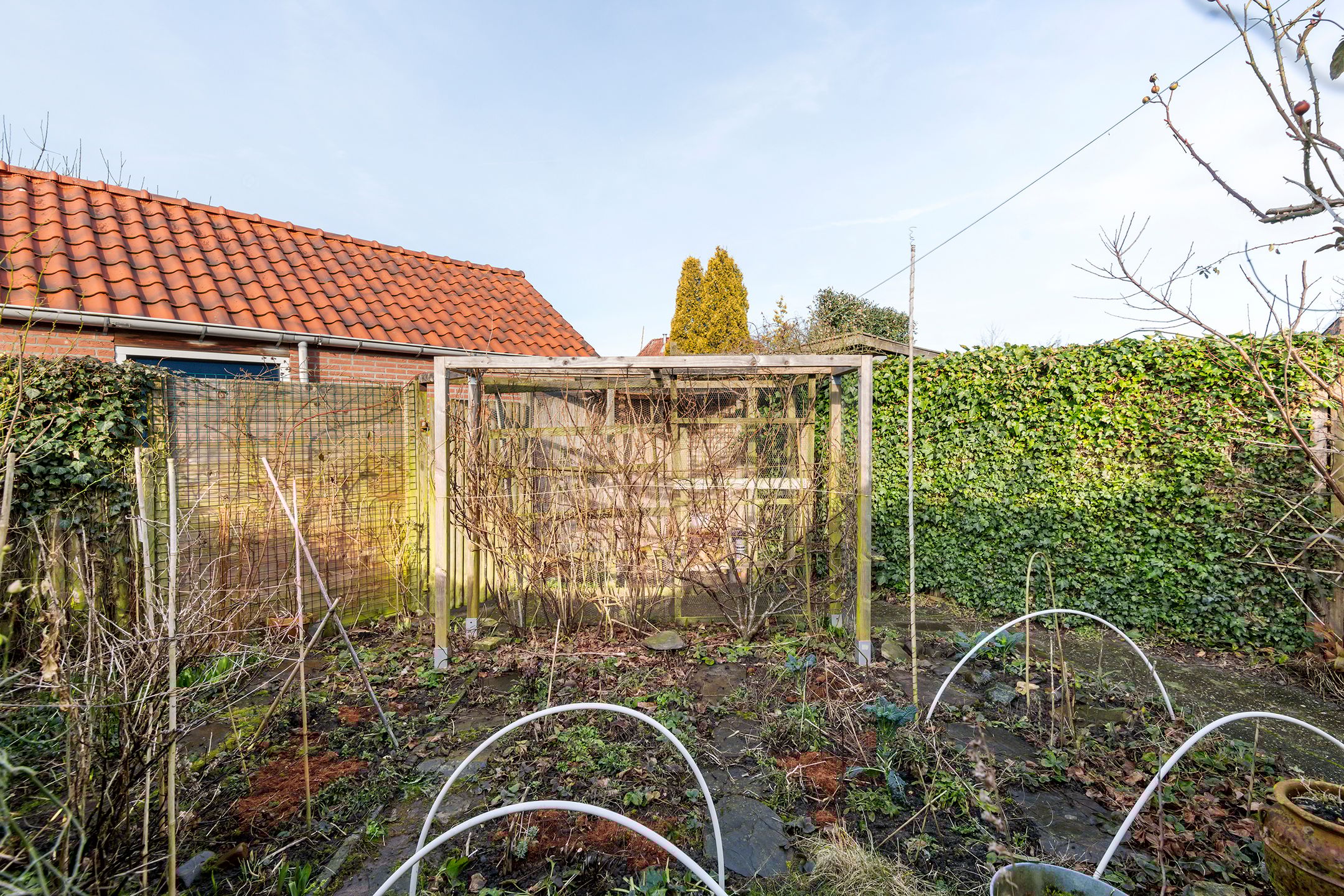 Foto 24 van Vanghoutstraat 21