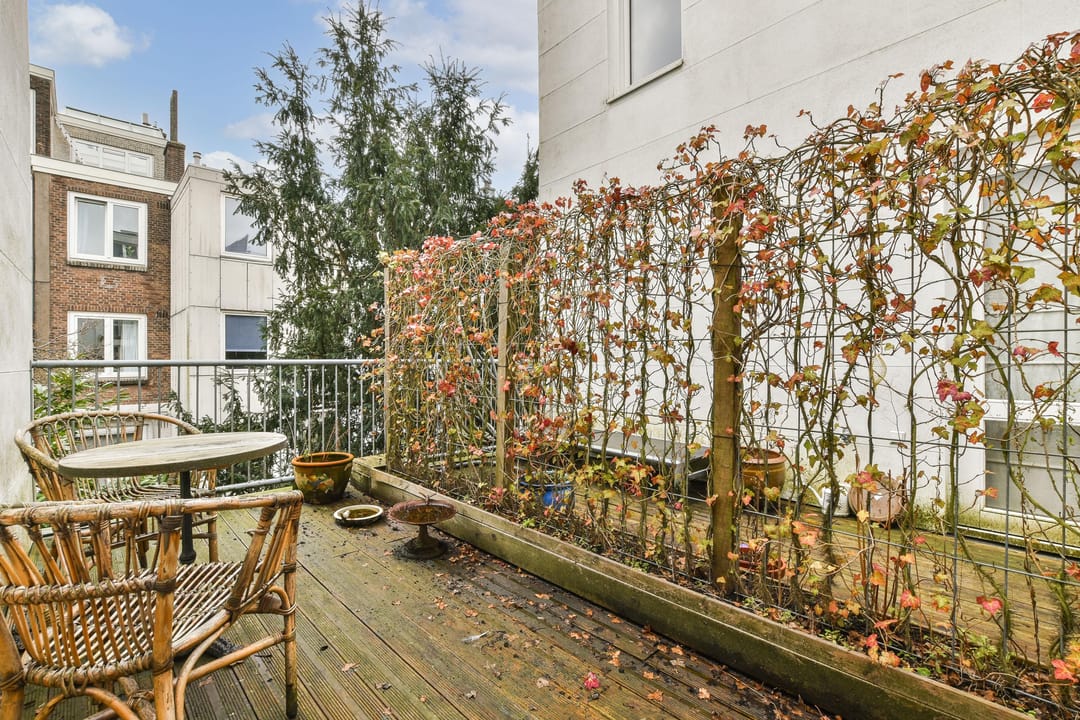 Foto 8 van Nieuwe Leliestraat 142-2