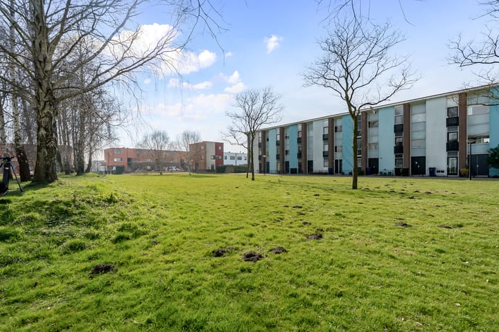 Foto 3 van Mintplantsoen 45