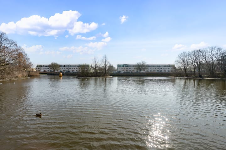 Foto 35 van Mintplantsoen 45