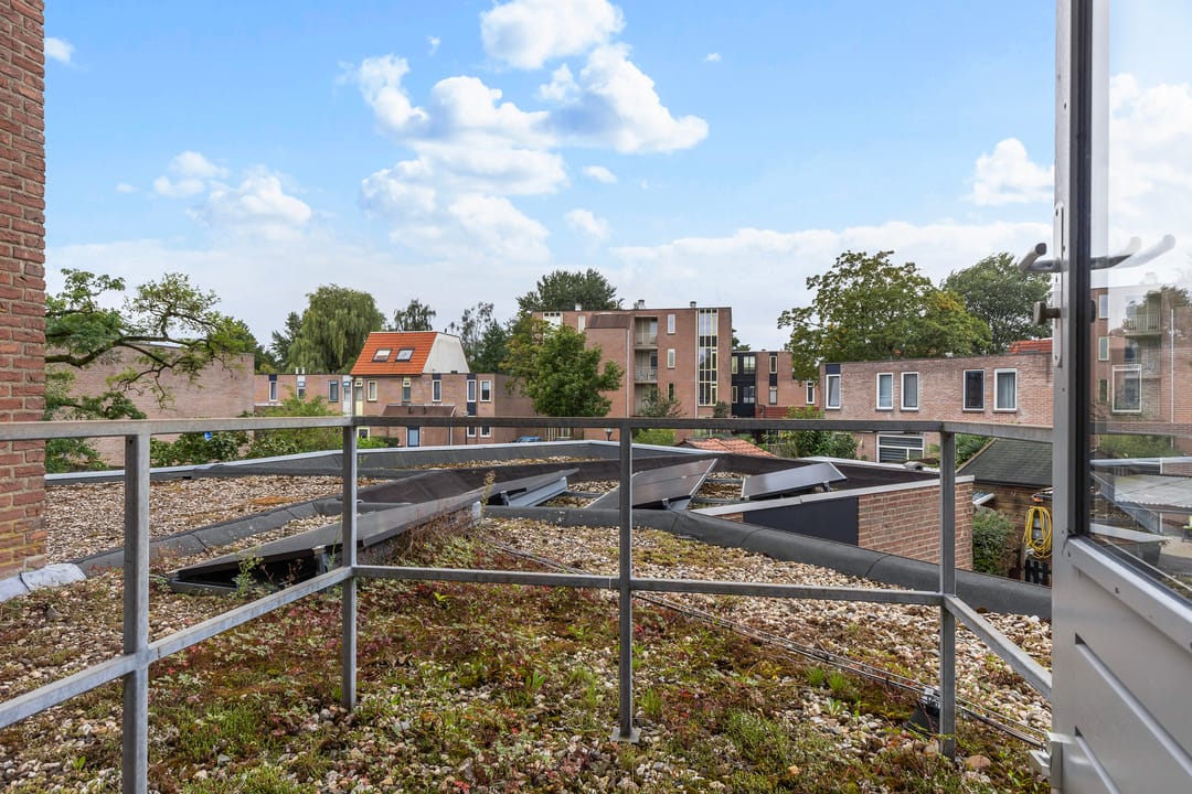 Photo 32 of Boswachtersveld 338