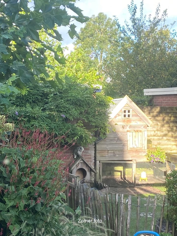 Photo 44 of Mosselkreekstraat 30