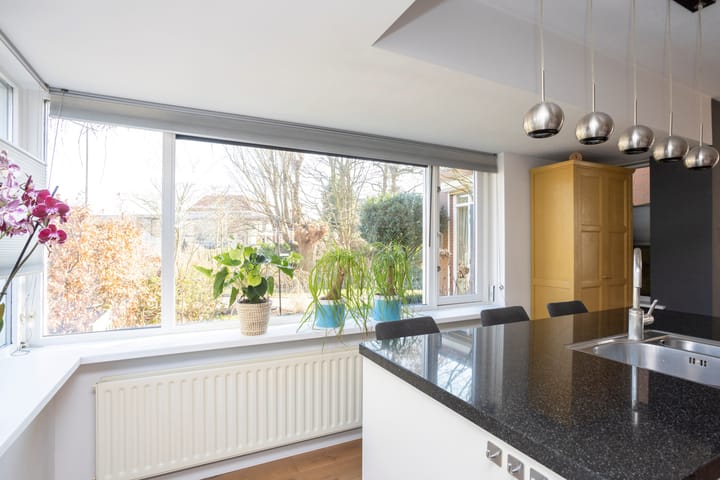 Foto 22 van Anthuriumsingel 1