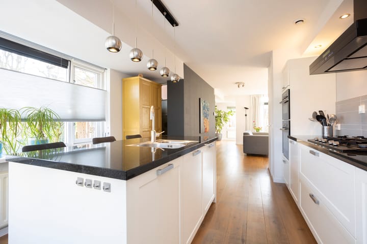 Foto 25 van Anthuriumsingel 1