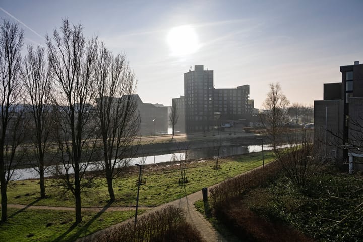 Foto 19 van Lavendelveld 90