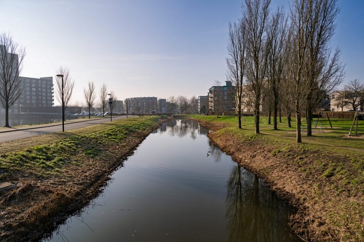 Foto 24 van Lavendelveld 90