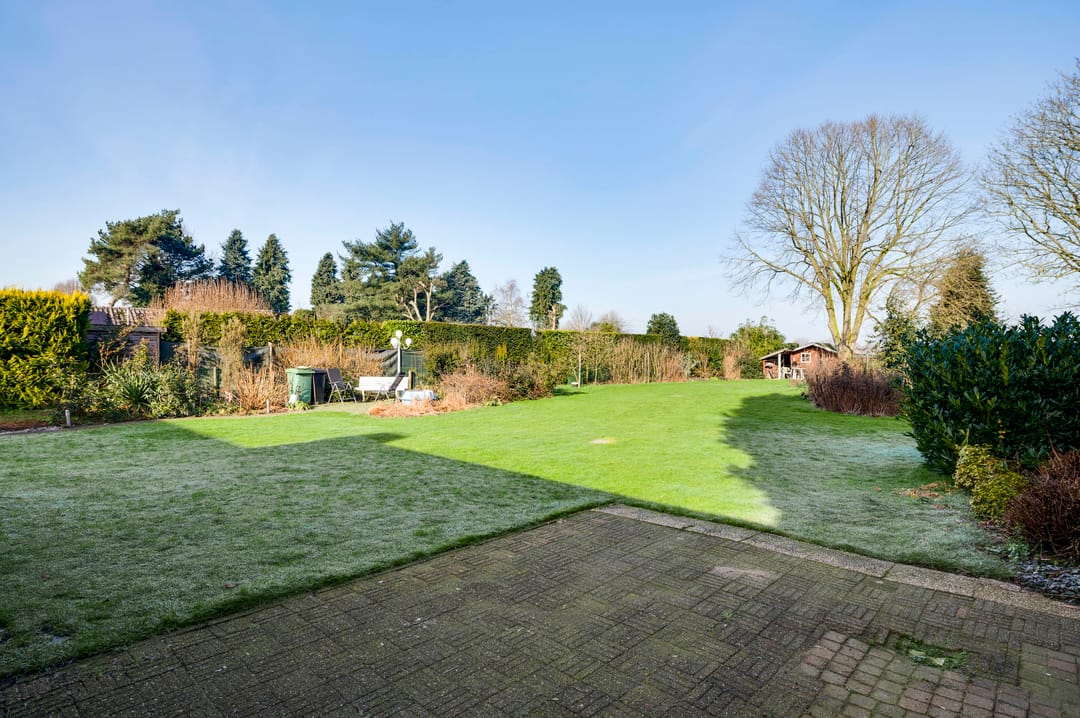 Foto 41 van Korenbloemstraat 23