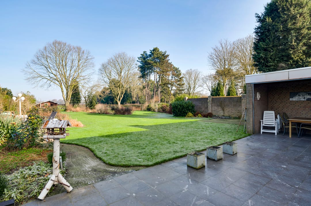 Foto 43 van Korenbloemstraat 23