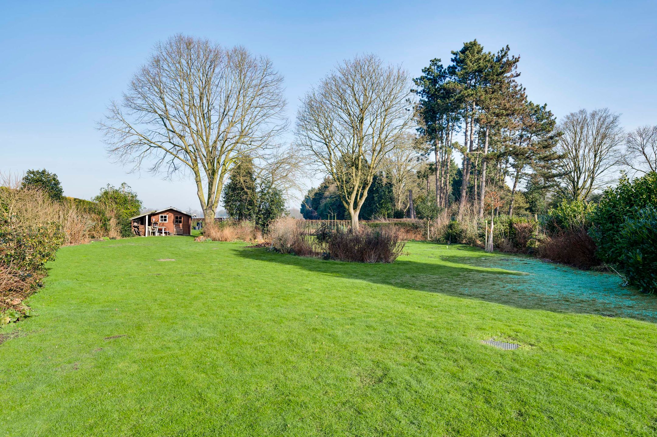 Foto 45 van Korenbloemstraat 23