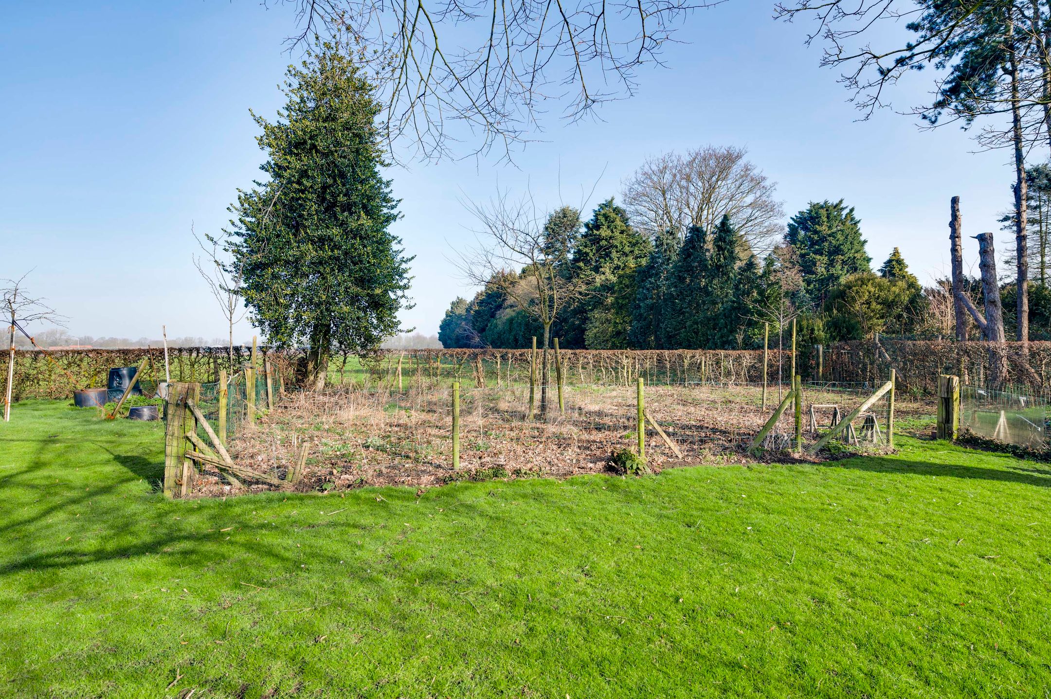 Foto 48 van Korenbloemstraat 23