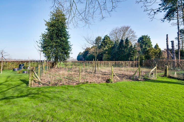 Foto 48 van Korenbloemstraat 23