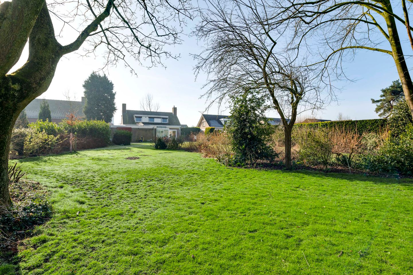 Foto 49 van Korenbloemstraat 23