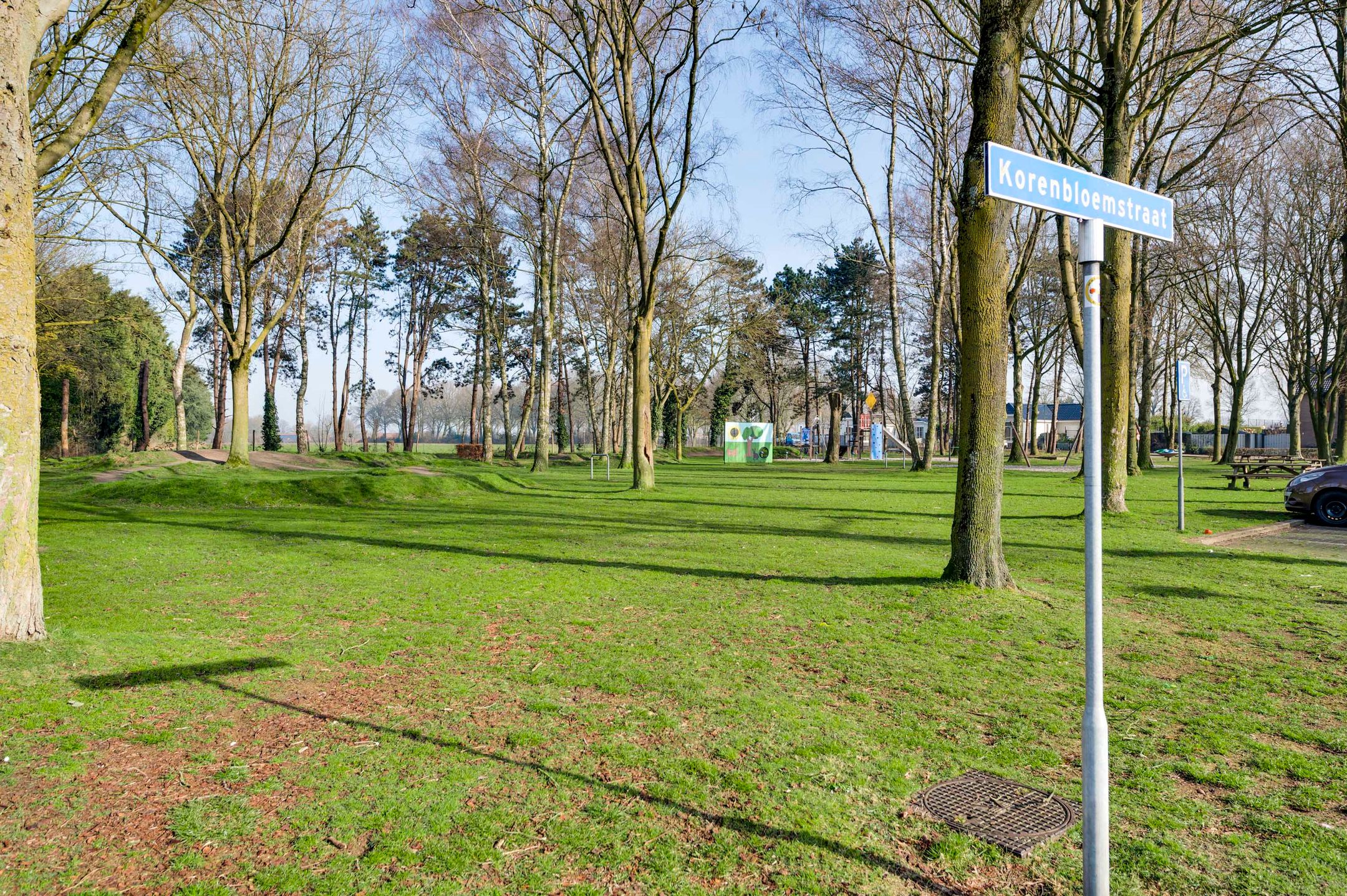 Foto 51 van Korenbloemstraat 23
