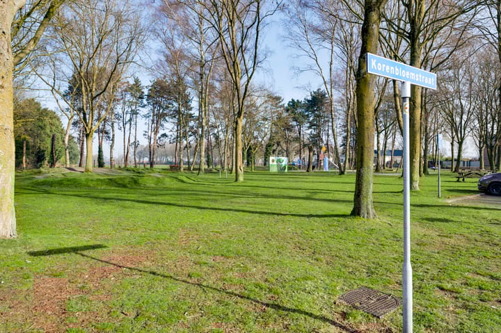 Foto 51 van Korenbloemstraat 23