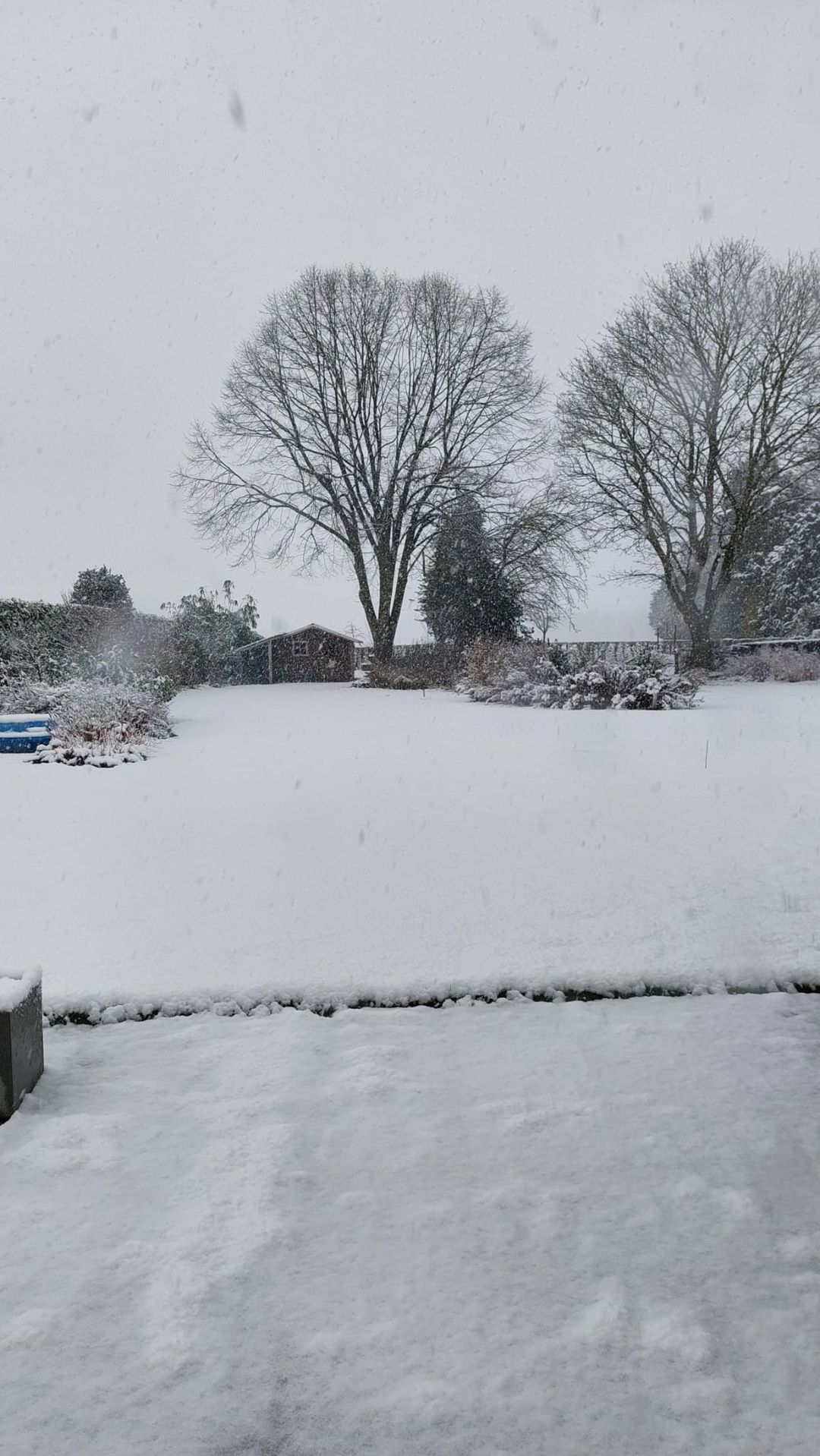 Foto 52 van Korenbloemstraat 23