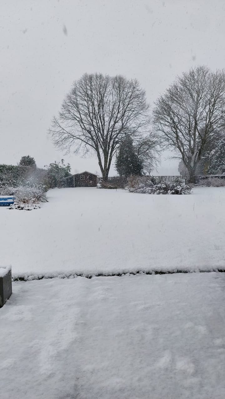 Foto 52 van Korenbloemstraat 23