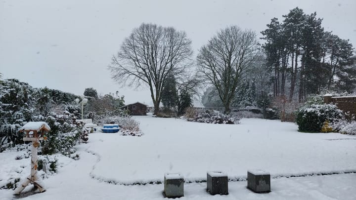 Foto 53 van Korenbloemstraat 23