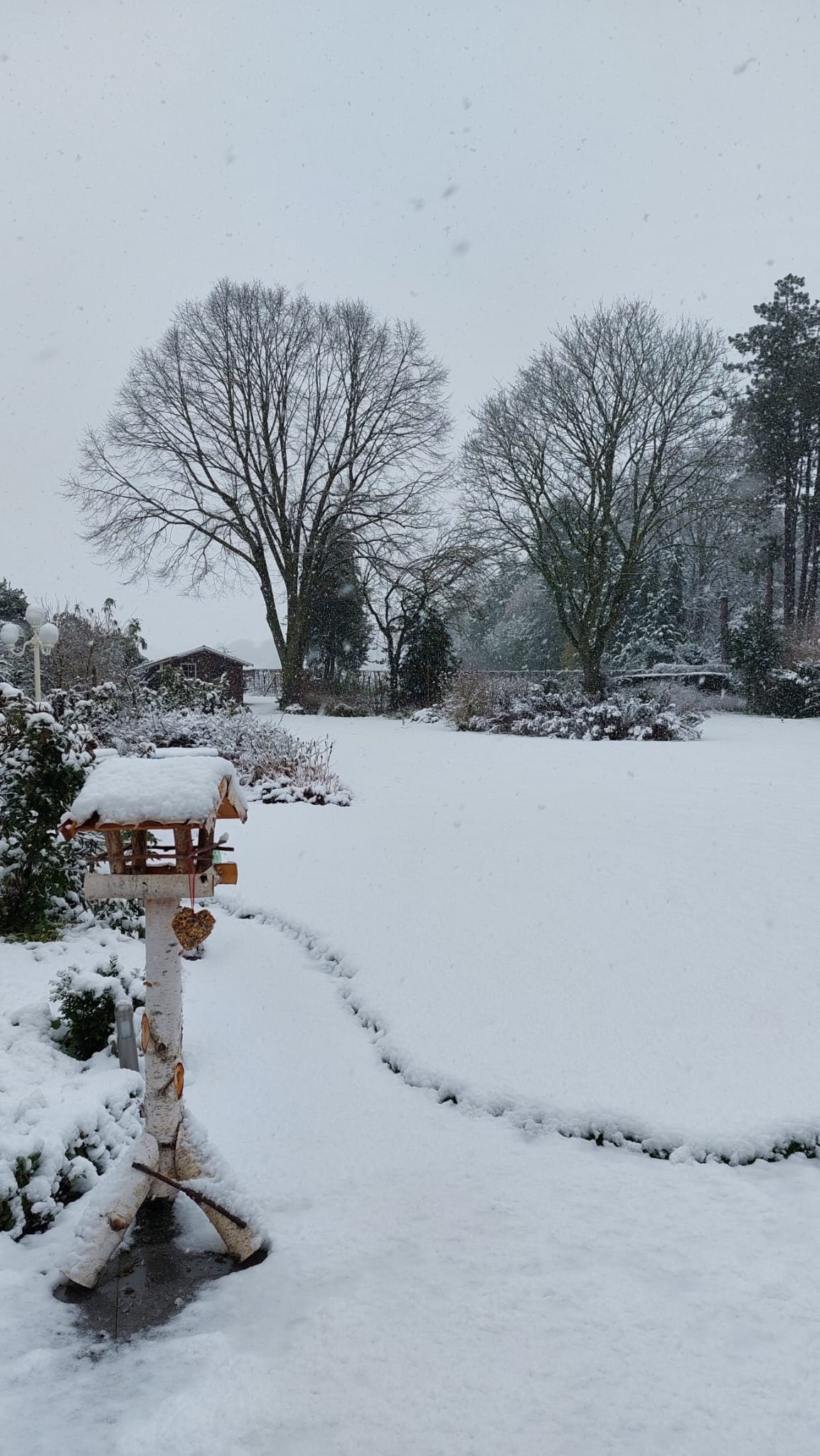 Foto 54 van Korenbloemstraat 23