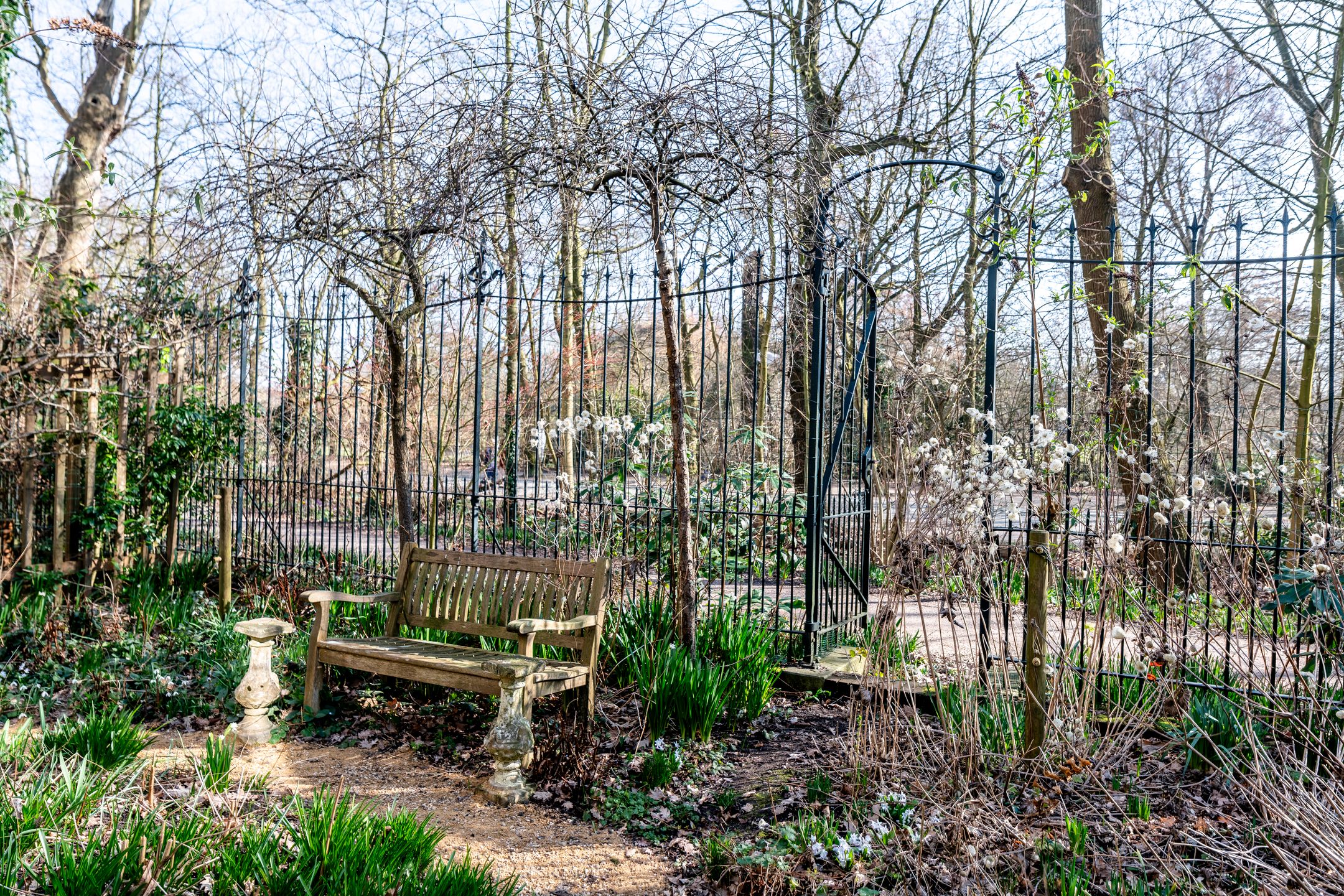 Foto 39 van Reyer Anslostraat 29-H