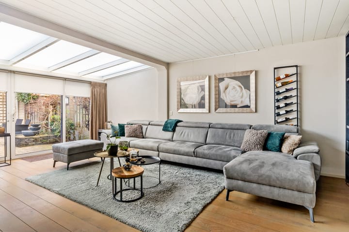 Foto 2 van Druivelaar 8