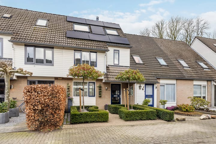 Foto 4 van Druivelaar 8