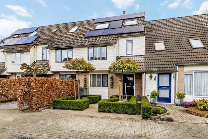 Foto 30 van Druivelaar 8