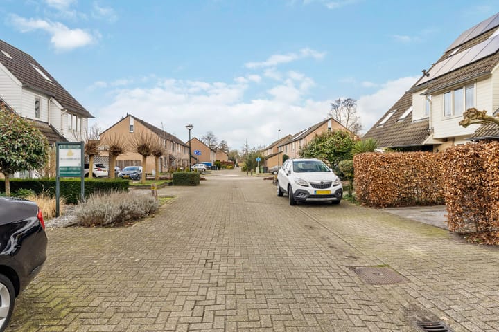 Foto 31 van Druivelaar 8