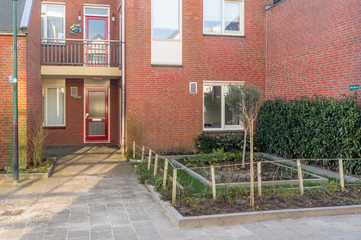 Foto 2 van Antilopespoor 281