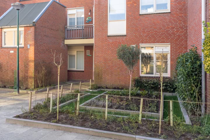 Foto 23 van Antilopespoor 281