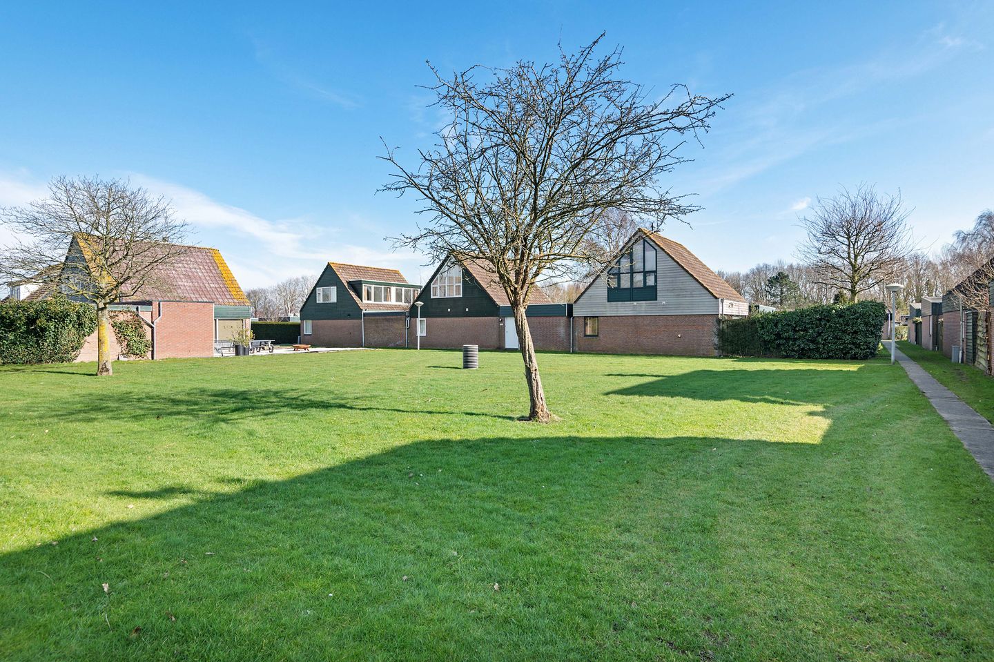 Foto 5 van Duinschooten 12-288